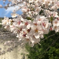 カラオケ友達募集中🎤