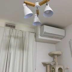 家具 照明器具