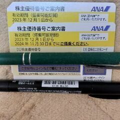 【ネット決済・配送可】ANA株主優待2枚セット