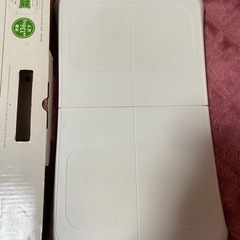 Wiiフィット 