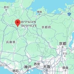 福知山市の約１０００坪の山林　５０万円の画像