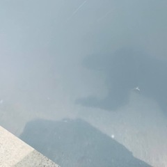 ⭐️A-Stage2ドア冷凍冷蔵庫⭐️ ⭐️ARM-118L02SL⭐️