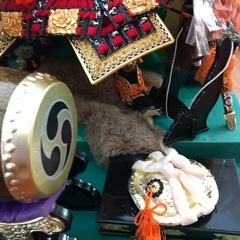 五月人形　子供武将飾