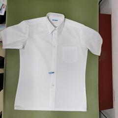 商談中男子学生サイズ155A半袖ワイシャツ