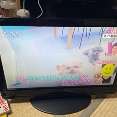 19型　液晶テレビ　belson 2012年　リモコン無し　家電...