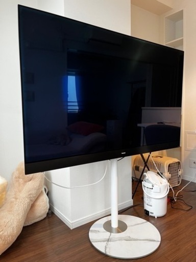 家電 テレビ 液晶テレビ