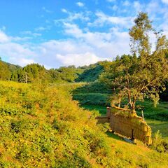 仲間募集。田んぼ、畑、山遊び。