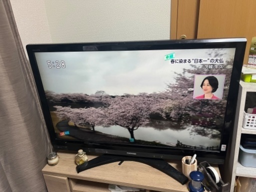 液晶テレビREGZA 長野県