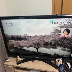 液晶テレビREGZA 長野県