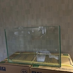 GEX 小型オールガラス水槽