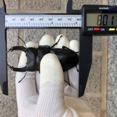 《お取引中》 おまとめのご依頼