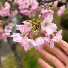 4月13日空いてる方🌸