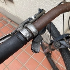 🉐【レア品早い者勝ち】🉐GT TIMBERLINE 29インチフレームM