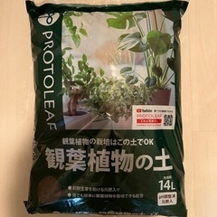 【交渉中】観葉植物の土