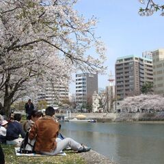 4/13に縮景園公園で外国人とピクニックしましょう！