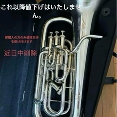 【ネット決済】楽器 管楽器、笛、ハーモニカ
