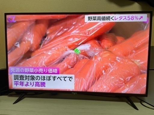 家電 テレビ 液晶テレビ