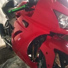 【ネット決済】NINJA250R セパハン仕様 シングル化 社外...