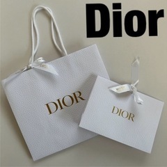 DIOR ショッパー　大小2枚セット