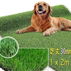 人工芝 1m×2m高密度30㎜丈ロール　新品です