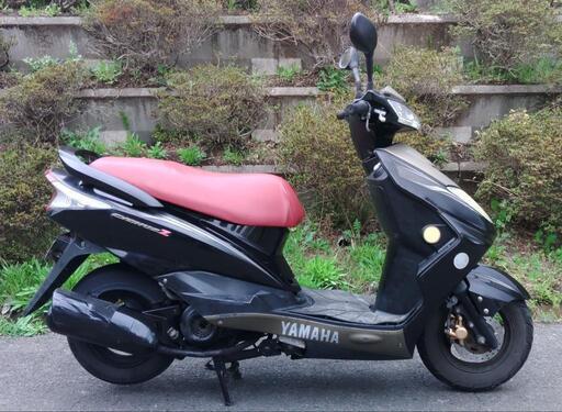 シグナスZ　走行13700km　(No.2124)