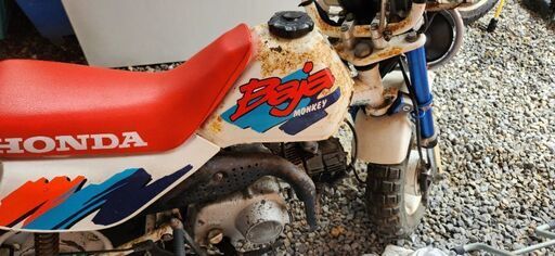 SCOOP!】シリーズ第5弾は「モンキー125バハ」か──ホンダ125の新作には状況証拠アリ!?（2ページ目）│WEBヤングマシン｜新車バイクニュース モンキーバハ
