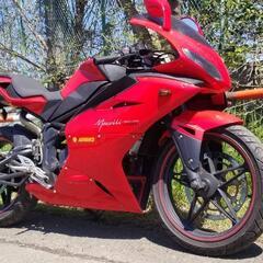 メガリ　Megelli　250R　書類あり CBR ZXR NI...