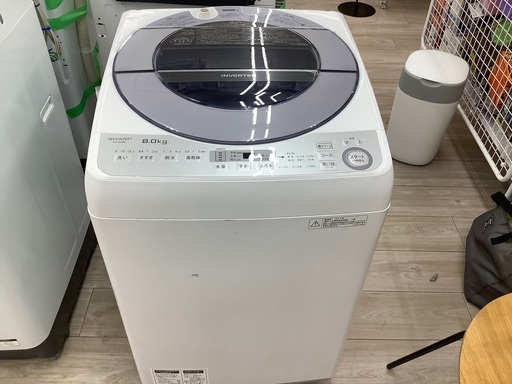 SHARP全自動洗濯機8kgのご紹介！(トレファク寝屋川)