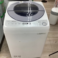 SHARP全自動洗濯機8kgのご紹介！(トレファク寝屋川)