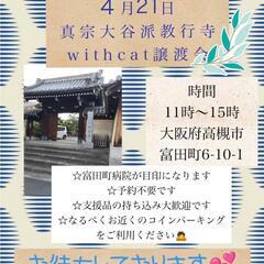 【保護猫の譲渡会】大阪府高槻市　4/21（日）