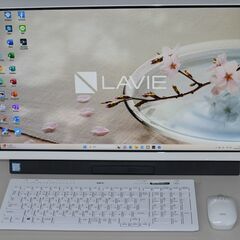 【ネット決済・配送可】中古一体型パソコン NEC PC-GD18...