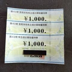 ビックカメラ株主優待券3000円