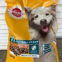 ドックフード10kg＋おやつ ペディグリー11歳から