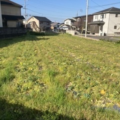 畑かします