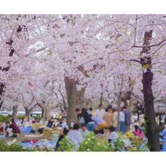 🌸今年最後のお花見会❗❔