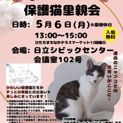 ひたちまちにゃか保護猫里親会5月