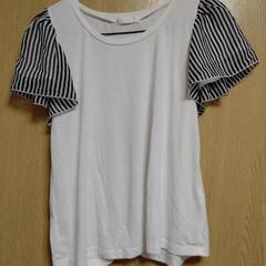 ○②半袖Tシャツ (袖フリル)  白