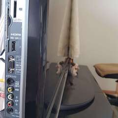 Panasonic 46型 プラズマテレビ　ビエラ　TH-P46G1