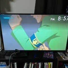 MAXZEN テレビ43型　最終価格　　