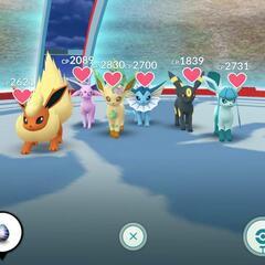 (*ฅ´ロ`)ฅ{ポケモン大好きなそこのあなた！