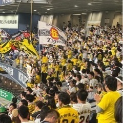 関東メインで観戦の阪神ファン大募集！
