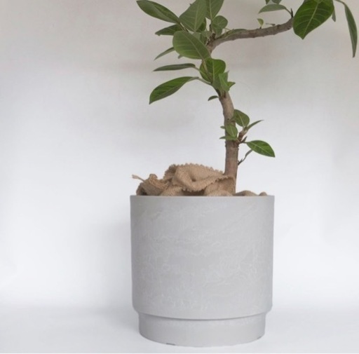 鉢カバー スタック 10号鉢対応 植木鉢 プラ鉢 頑丈