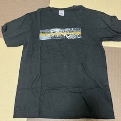 MIZUNO Tシャツ