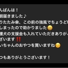 ドンキペットシーツ不要な方いませんか？