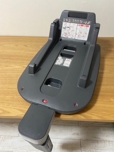 超希少 grandidens 大型木質化株の苗