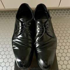 ANTONIO DUCATI 25.0cm 革靴 紐千切れあり