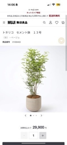 生活雑貨 家庭用品 ガーデニング