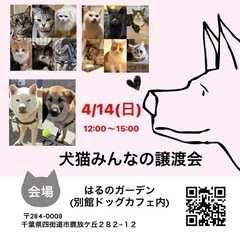 第4回犬猫みんなの譲渡会