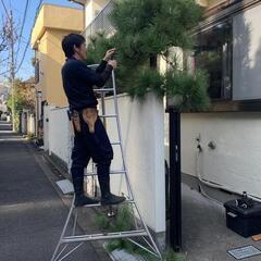 安心コミコミ価格で🌳庭木のお手入れ剪定承ります。横浜 藤沢…