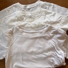 白Tシャツ120、130　
